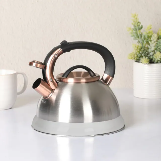 Mr. Coffee Flintshire 2.2 Quart Large Whistling Stainless Steel Tea Kettle - Brush Stainless Steel W/ Copper