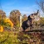 STL Zoo