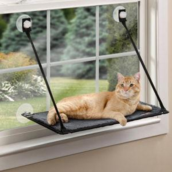 K&H PET PRODUCTS EZ Mount Cat Window Perch Kitty Sill, Gray - Chewy.com