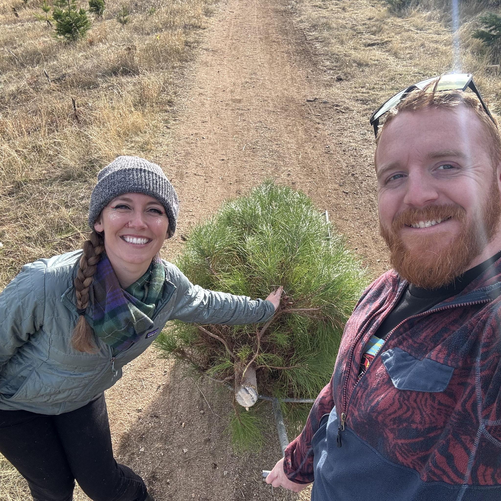 Our first Christmas tree! (Louis cut it down too!)