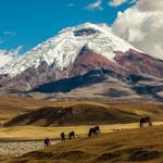 Cotopaxi National Park