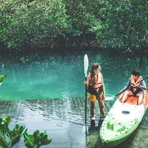 Honeymoon: Rainforest Zipline & Kayak Experience