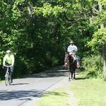 W&OD Trailhead Leesburg