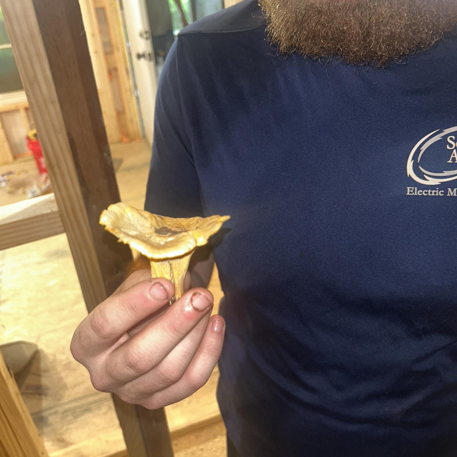 Larry loves finding mushrooms!