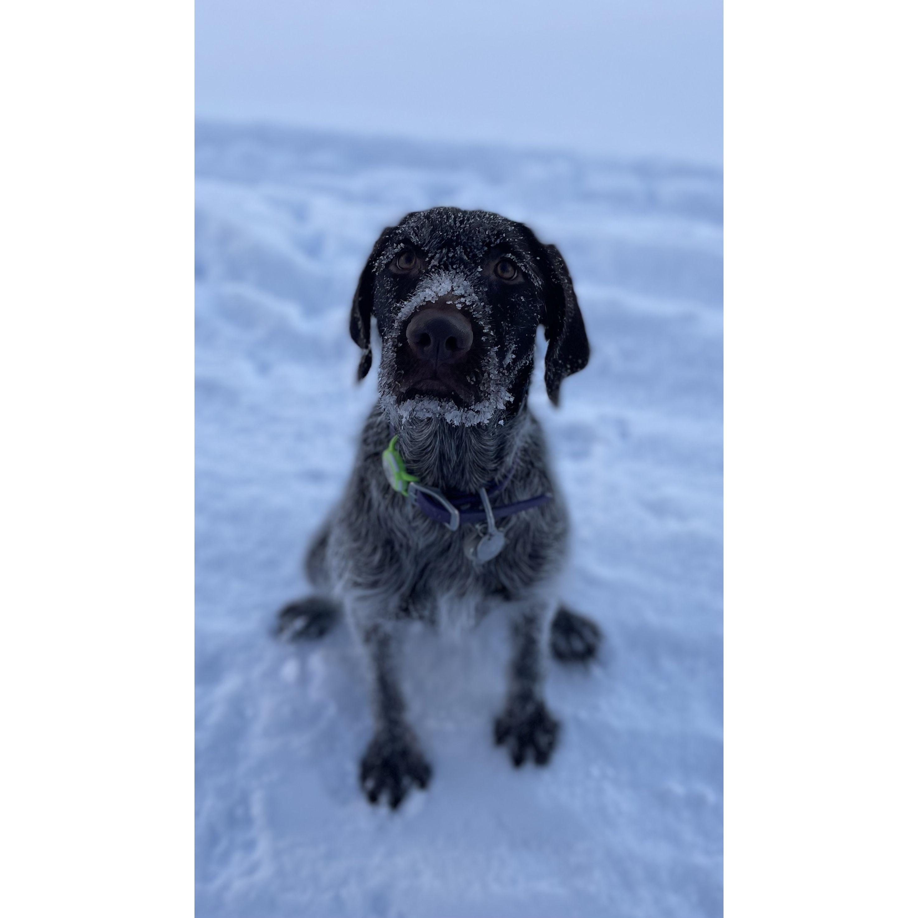 Lupin "Lou" is our collective best friend