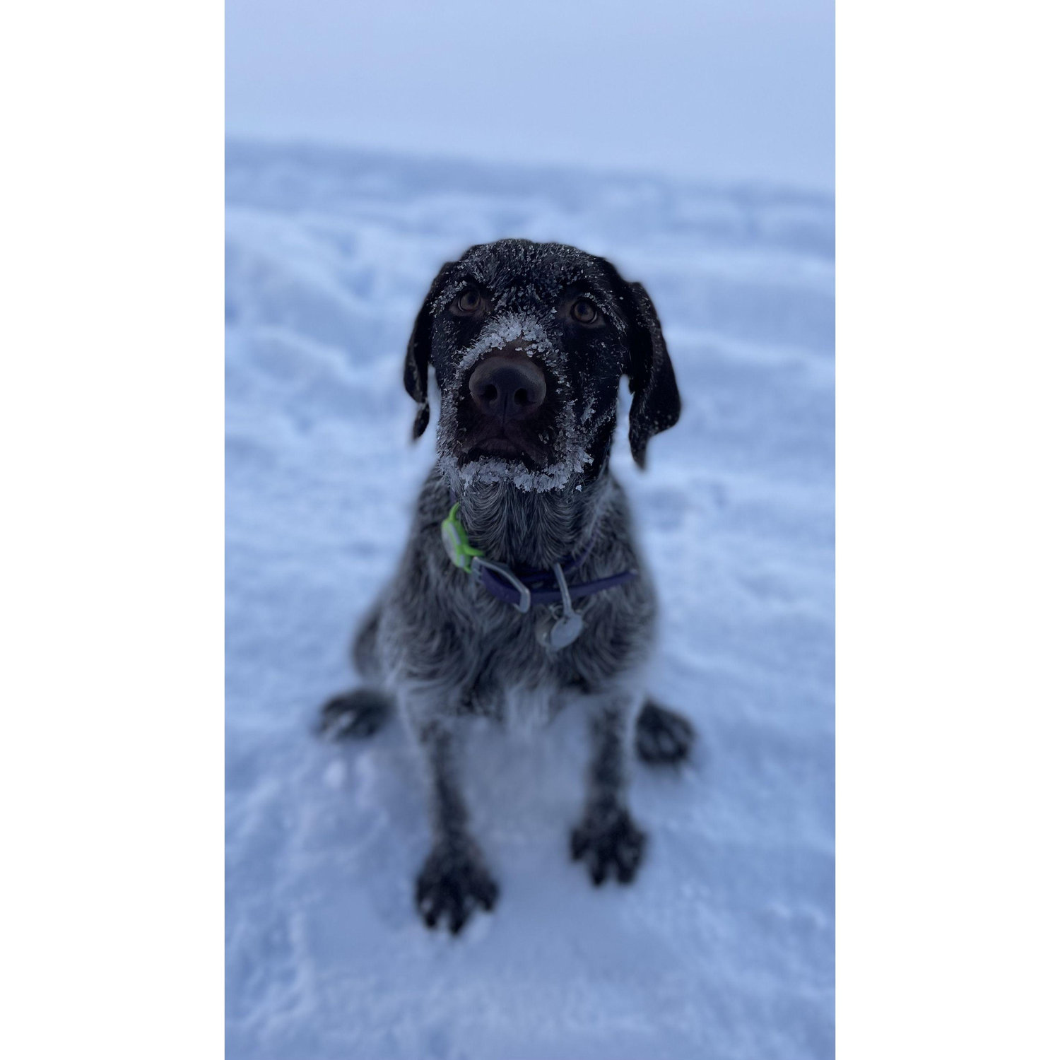 Lupin "Lou" is our collective best friend