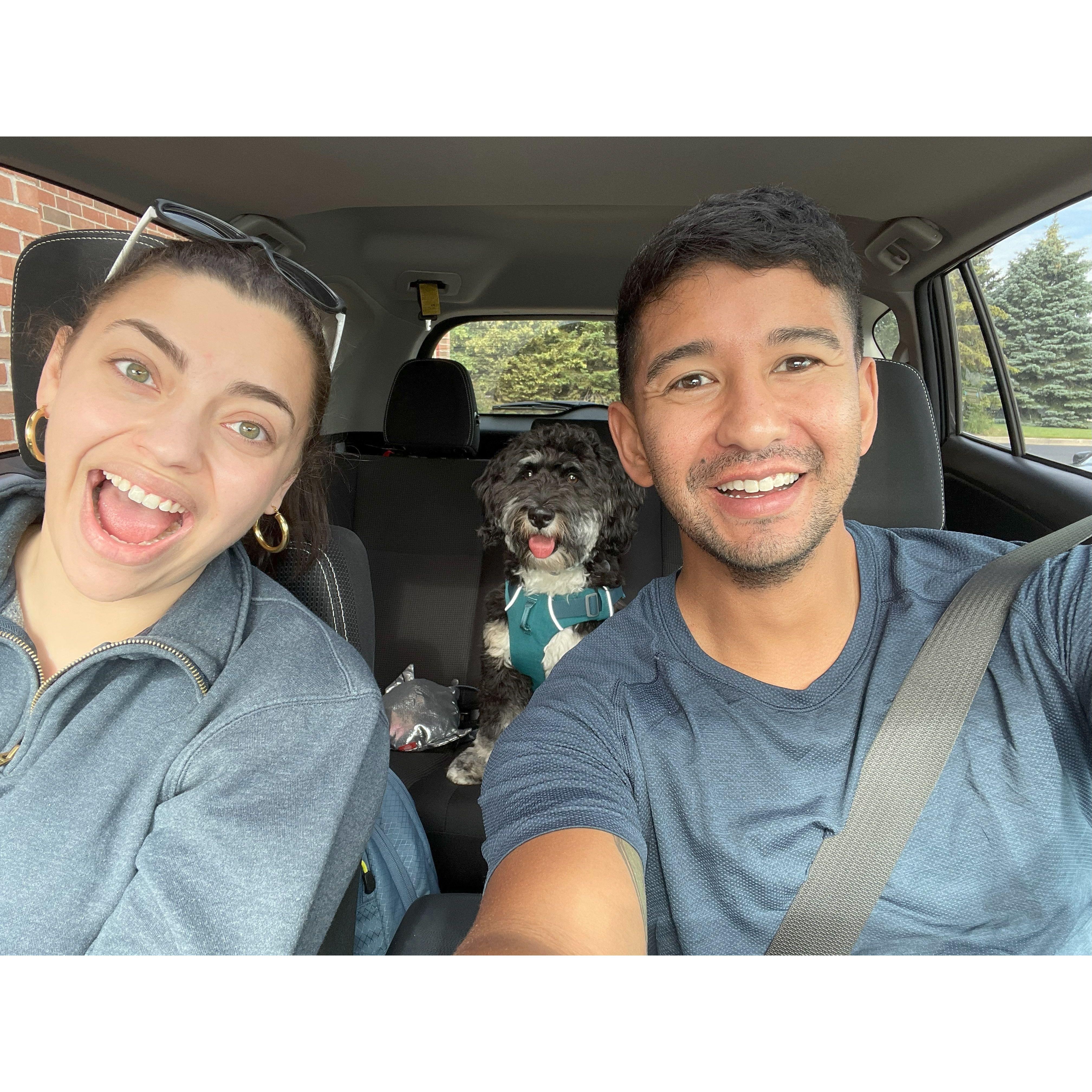 Fun fact: Oakley has spent approximately 33% of his life in the backseat of the Rav4