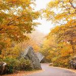 The Notch Road