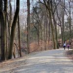 Rockefeller State Park Preserve