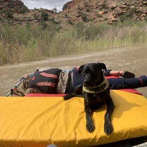 Raft Upgrade Fund