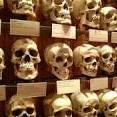The Mütter Museum at The College of Physicians of Philadelphia