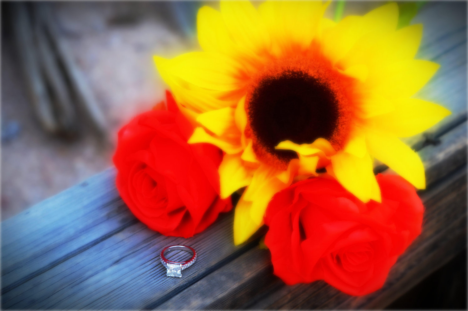 The Wedding Website of Sara Wells and JC Bell