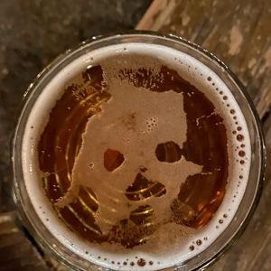 Buy us a few beers!