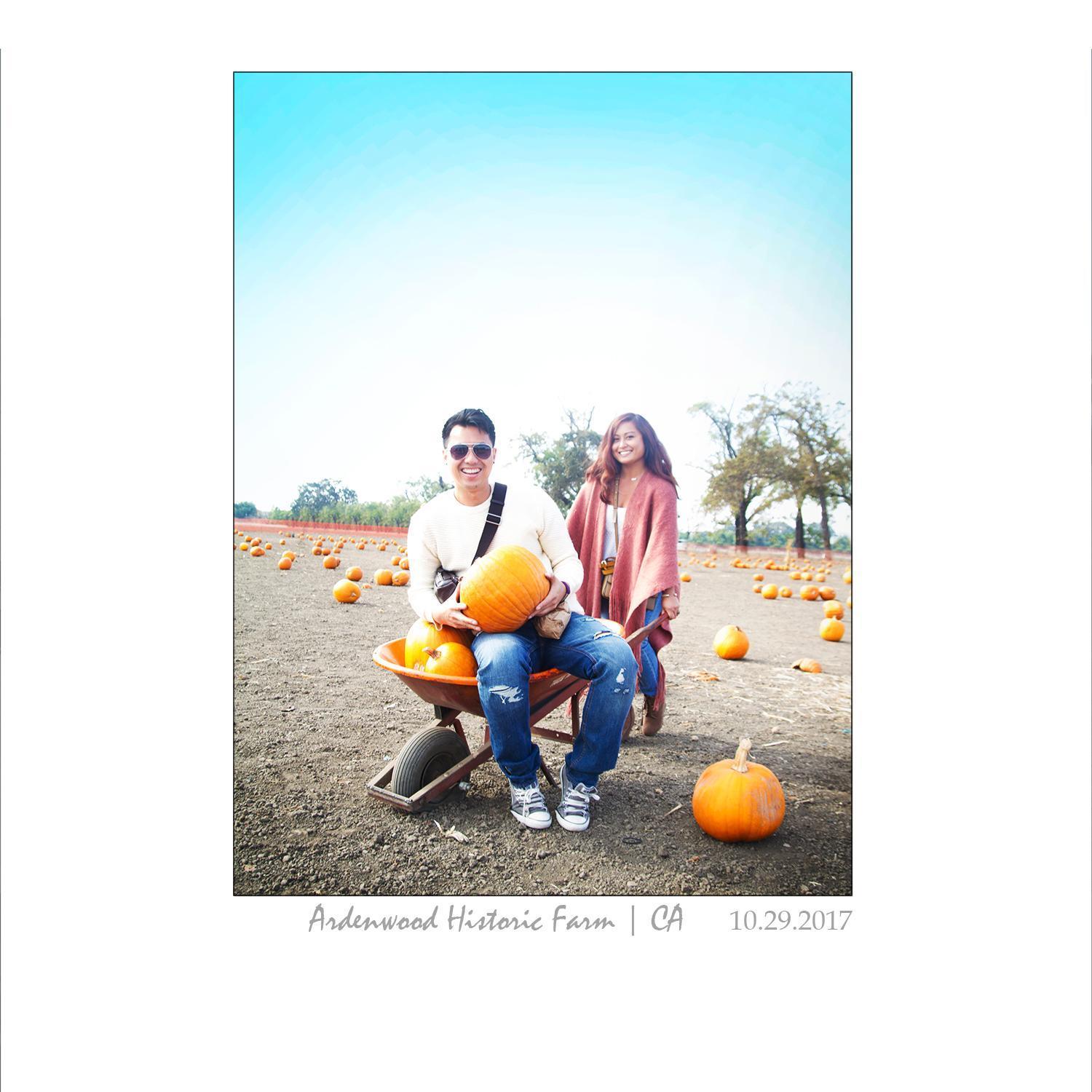Ardenwood Historic Farm's Pumpkin Patch.

Fremont, CA