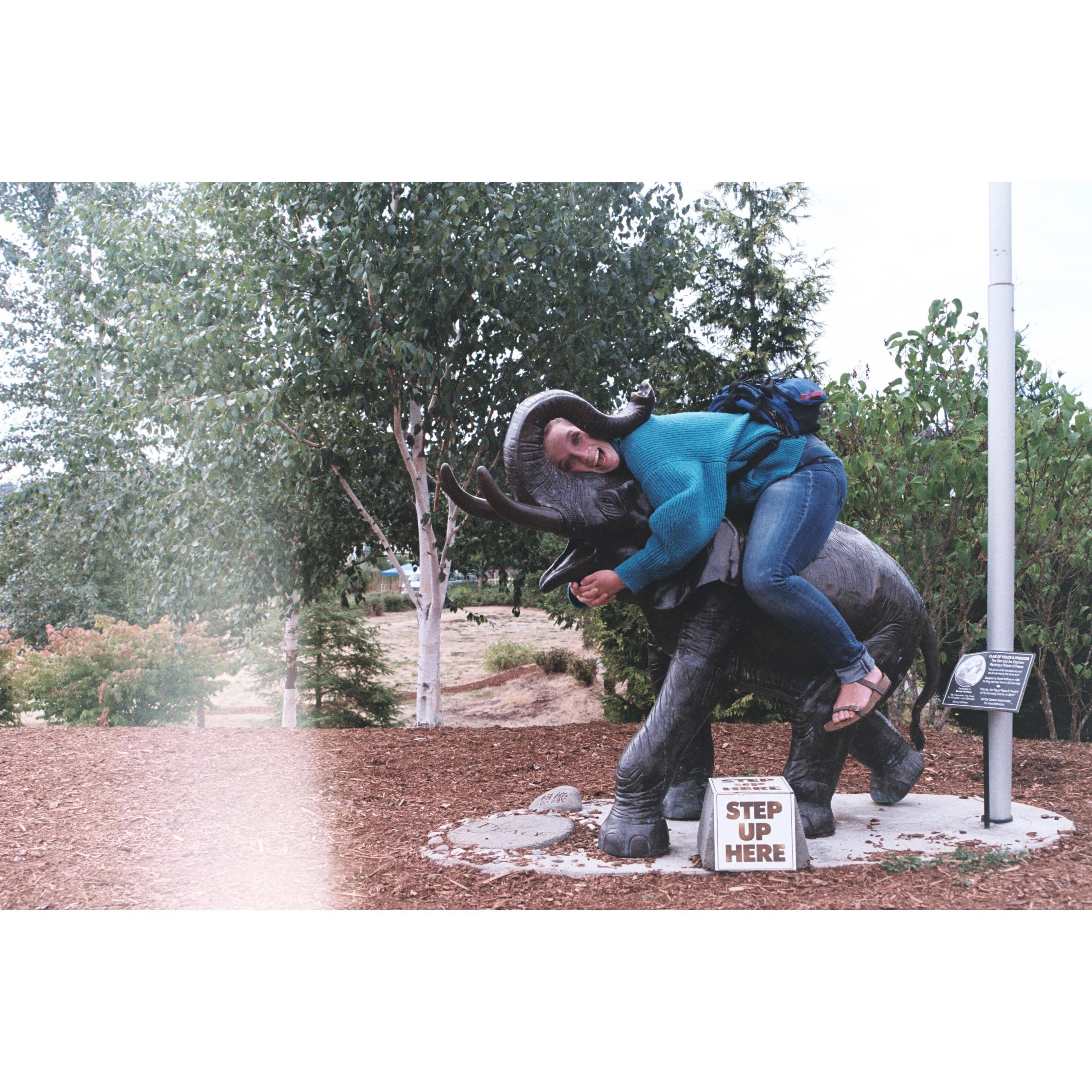 Nan hugging an elephant sculpture on Camano Island - because she just can't help herself.