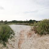 Sullivan's Island