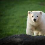 Columbus Zoo and Aquarium