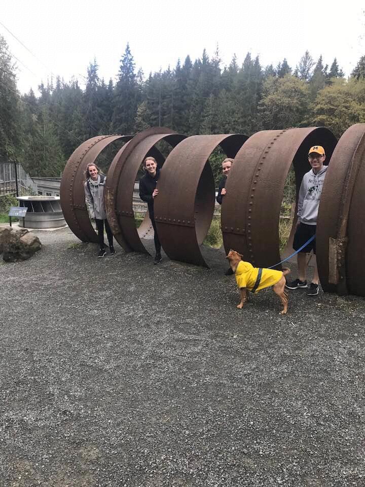 Goofing around Snoqualmie falls (April 2018)