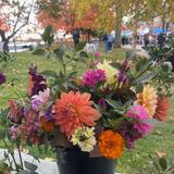 Bath Farmer's Market