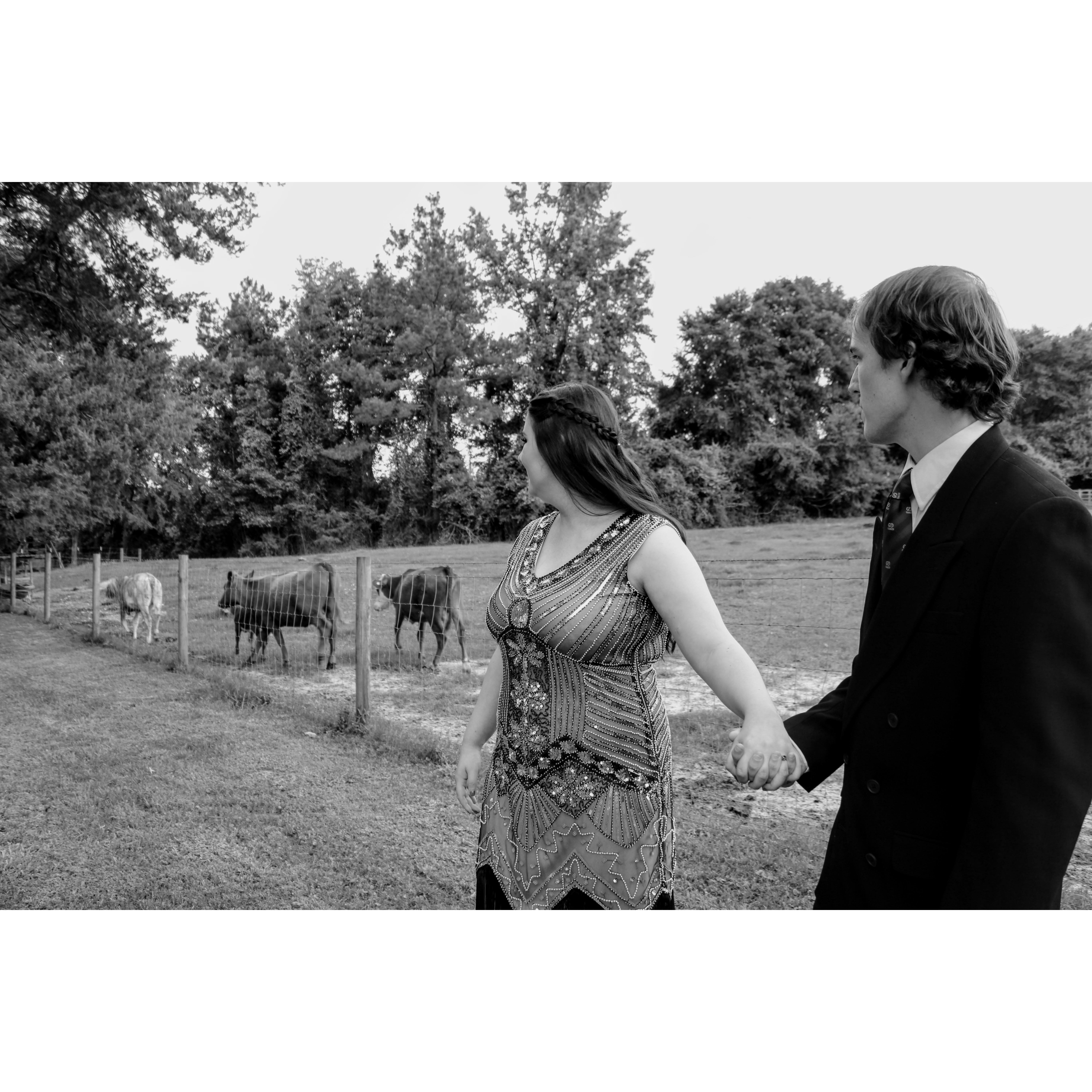 More engagement photos!