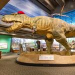 Museum of Science