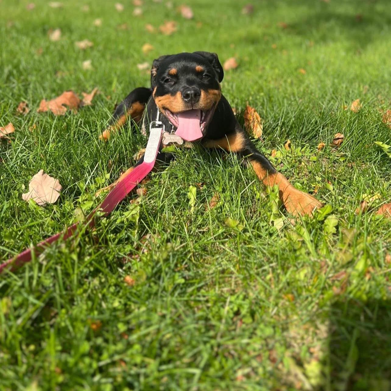 From 7 pounds to 42!