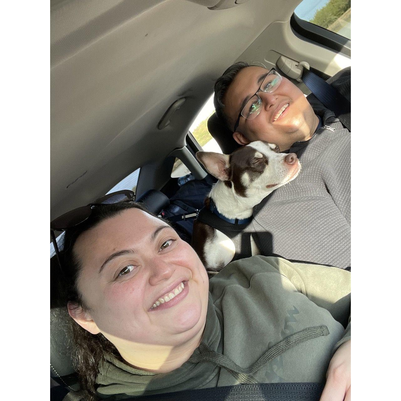 Our first family trip with Murphy! Long Beach 2022