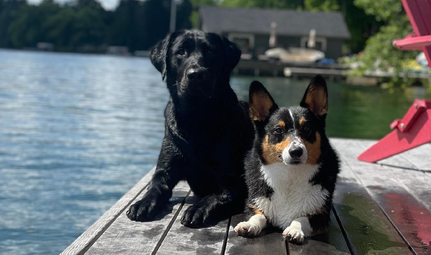 The Wedding Website of Taylor Manley and Jack Scott