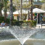 Coligny Plaza Shopping Center
