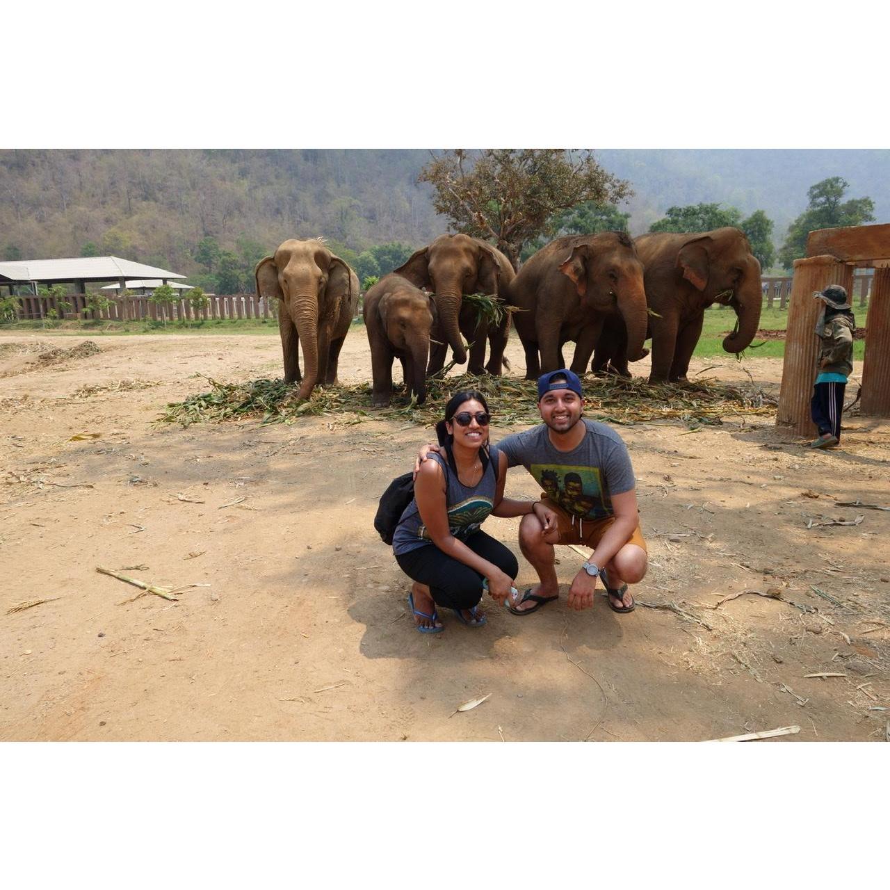 At an elephant sanctuary in Chiang Mai, Thailand