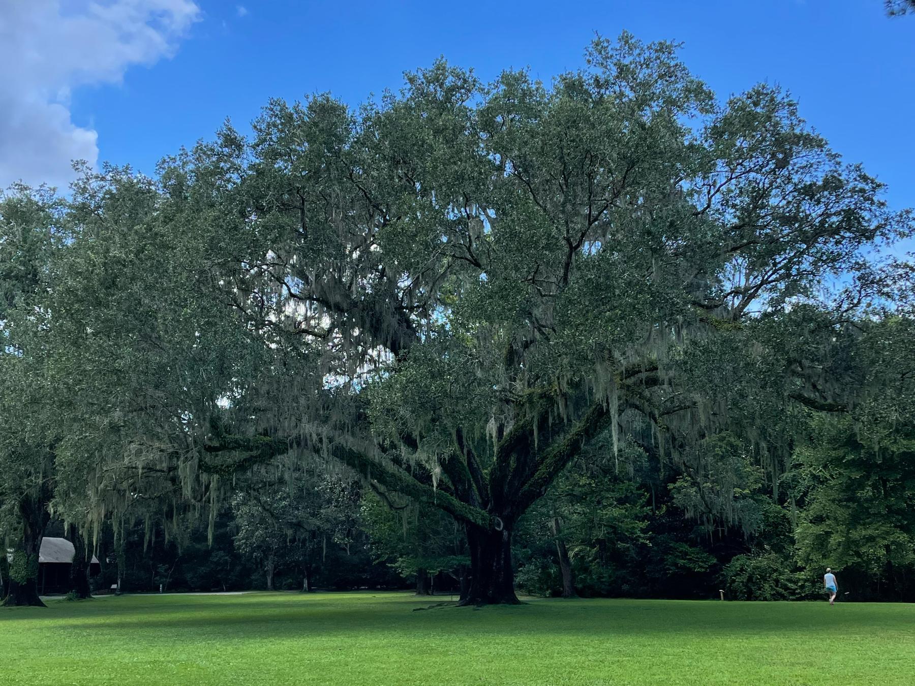 The Wedding Website of Marina Milton and Andrew Kell