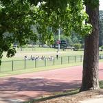 Lakebottom Park/Hill Field