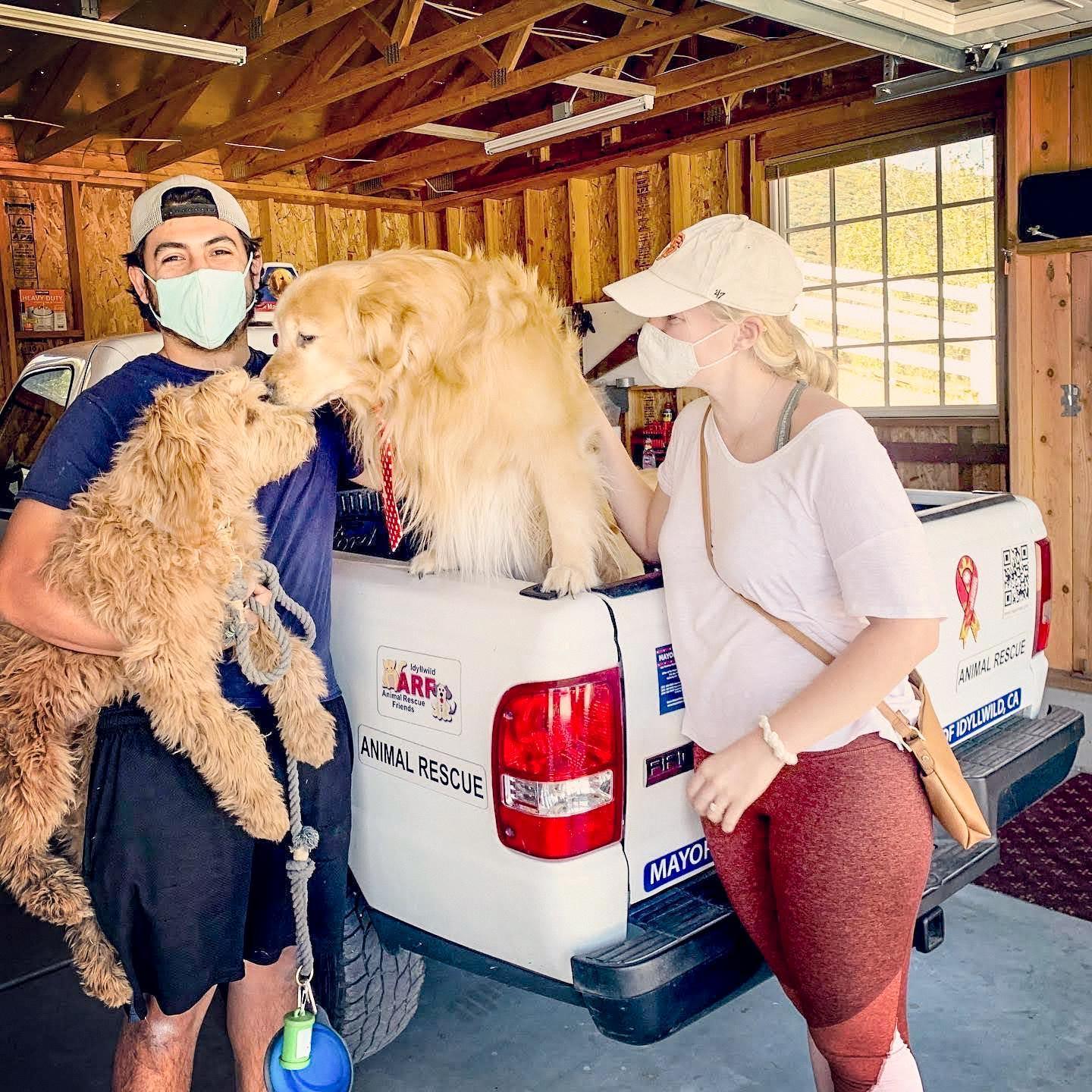Meeting 'Mayor Max'
(the official Mayor of Idywild) 
the day after our engagement. Mayor Max also deputized Winston and gave him his own tie.