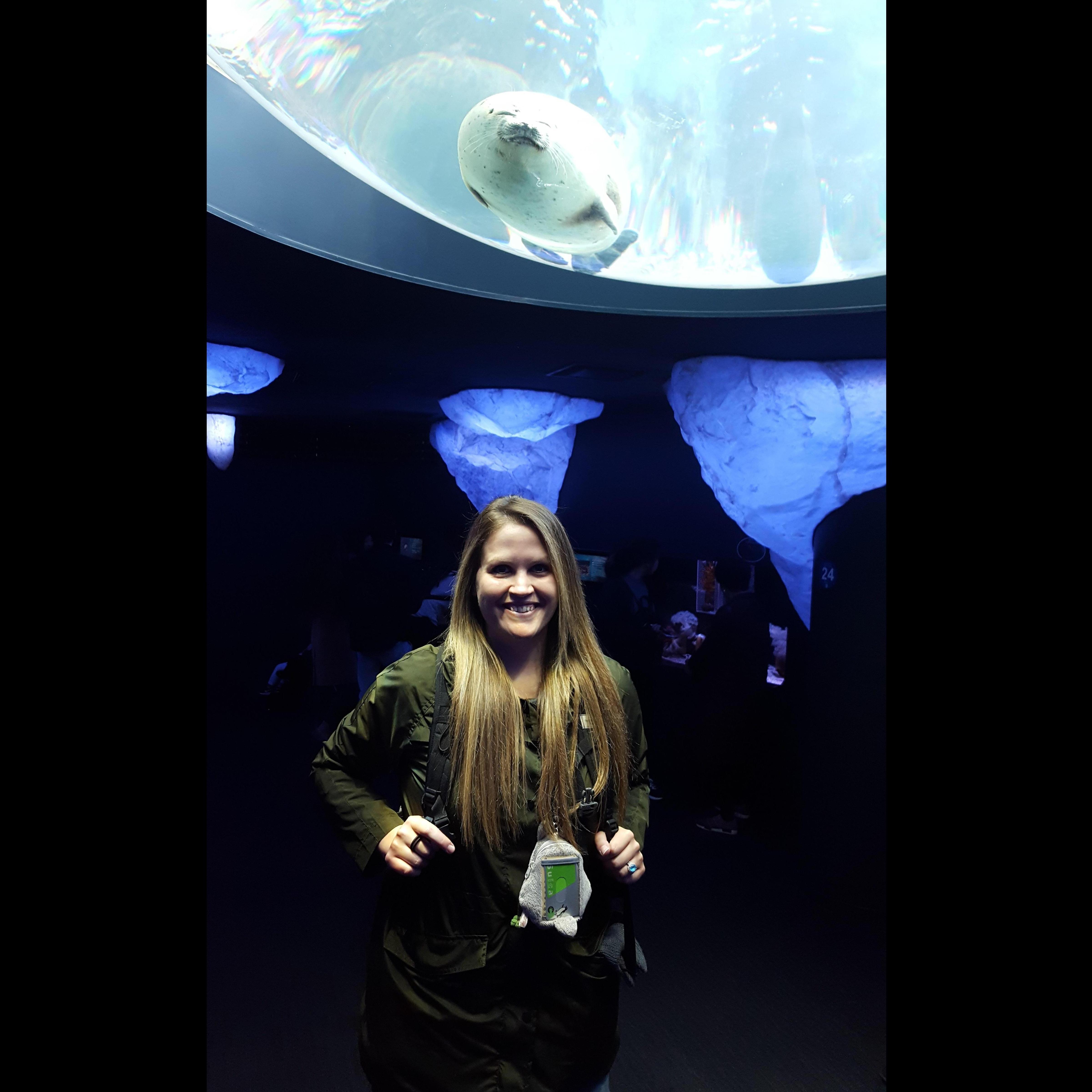 Kaiyukan Aquarium, Osaka Japan