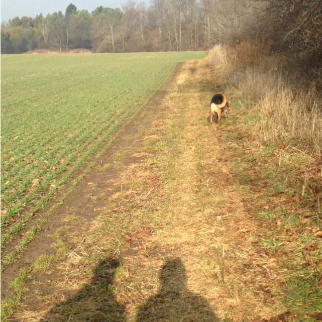 Oxford Hiking