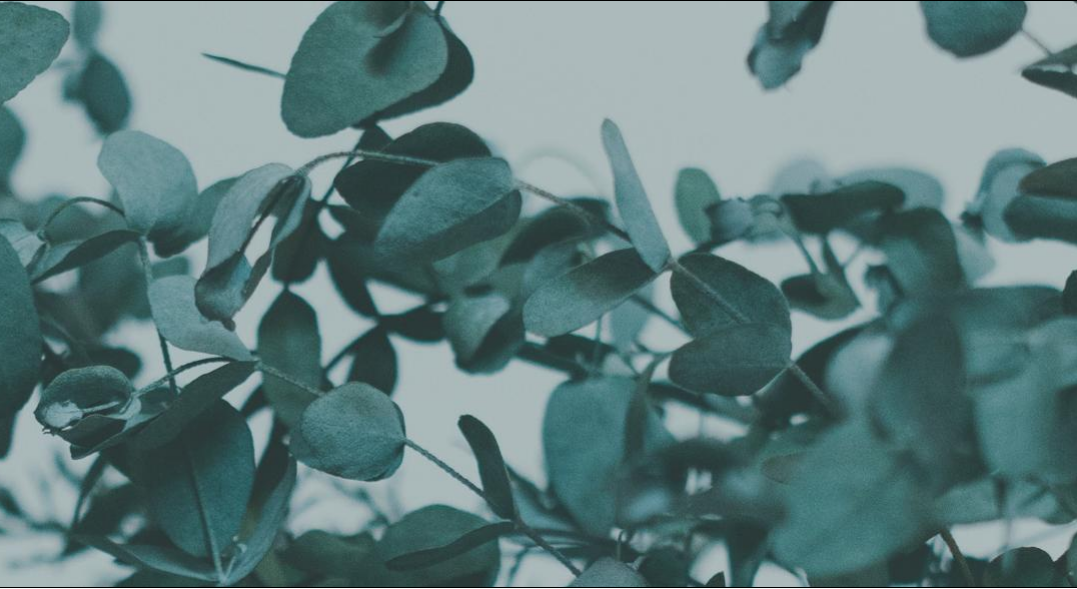 Footer image
