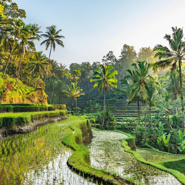 Choose our Honeymoon! #1 - Southeast Asia