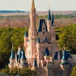 Walt Disney World Resort