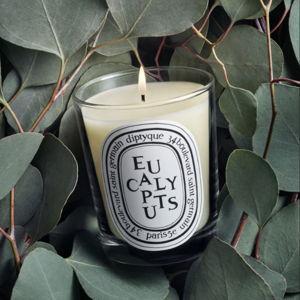 Eucalyptus - Classic Candle | Diptyque Paris