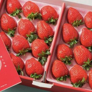 🍓 Japanese strawberries 🍓