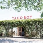 Taco Boy