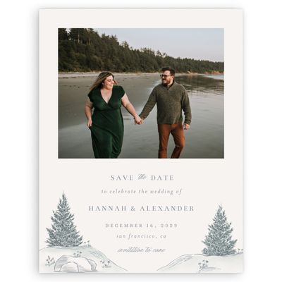 Light Oatmeal, Grey Wedding Digital Save the Date - Auburn Photo
