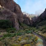 Soledad Canyon Springs Trail
