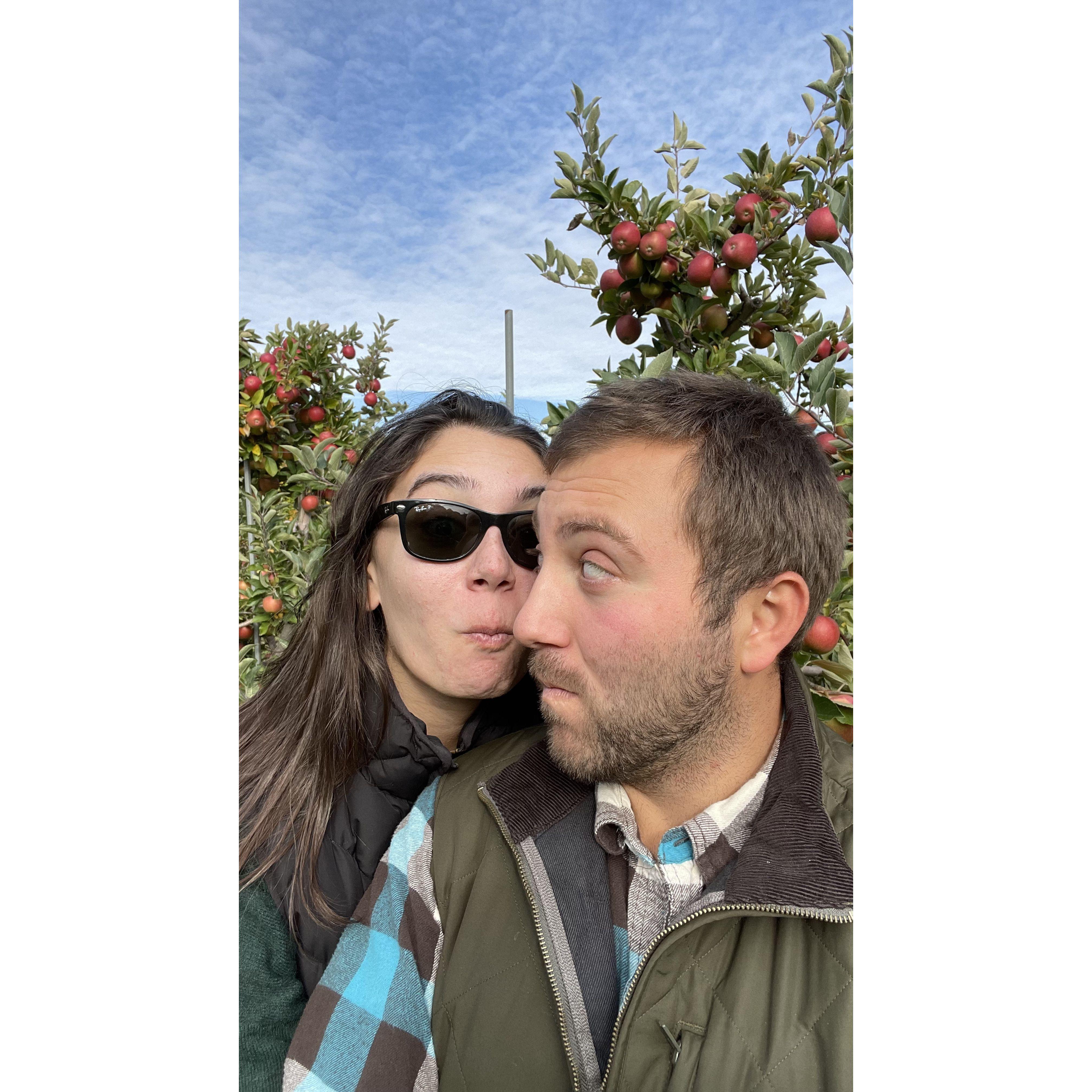 One of our annual apple picking trips.