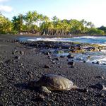 Punaluʻu Black Sands Beach