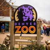 Denver Zoo Conservation Alliance