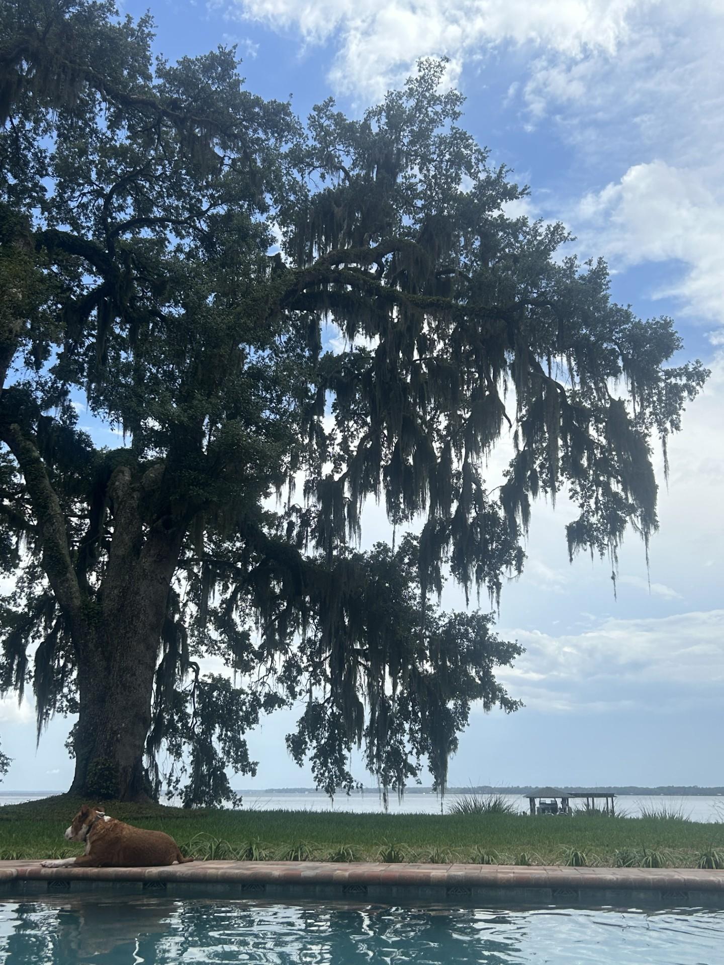 The Wedding Website of Taylor Ray Graessle and Brenden Nollet