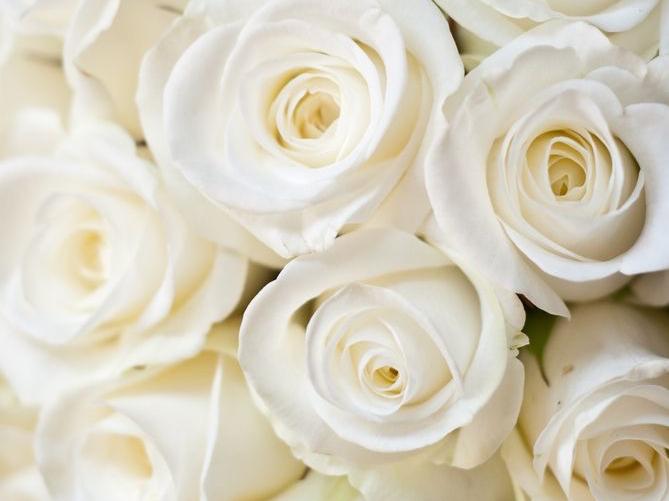 The Wedding Website of Jessica Norwood and Stefan Raia