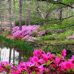 Callaway Resort & Gardens