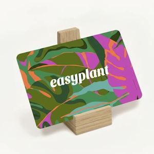 Easy Plant Self-Watering Plants - Gift Card